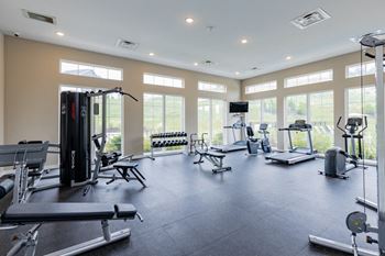 a gym with lots of windows and weights and cardio equipment at The Flats at Summit Station, South Park, 15129